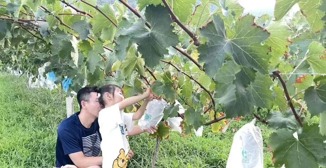 长安终南山,20 家商户一券多用优惠通享 | 喜马拉雅加入「长安·抱龙同心联盟」  民宿 庭院 田园 客房 美食 风格 民居 第 12 张