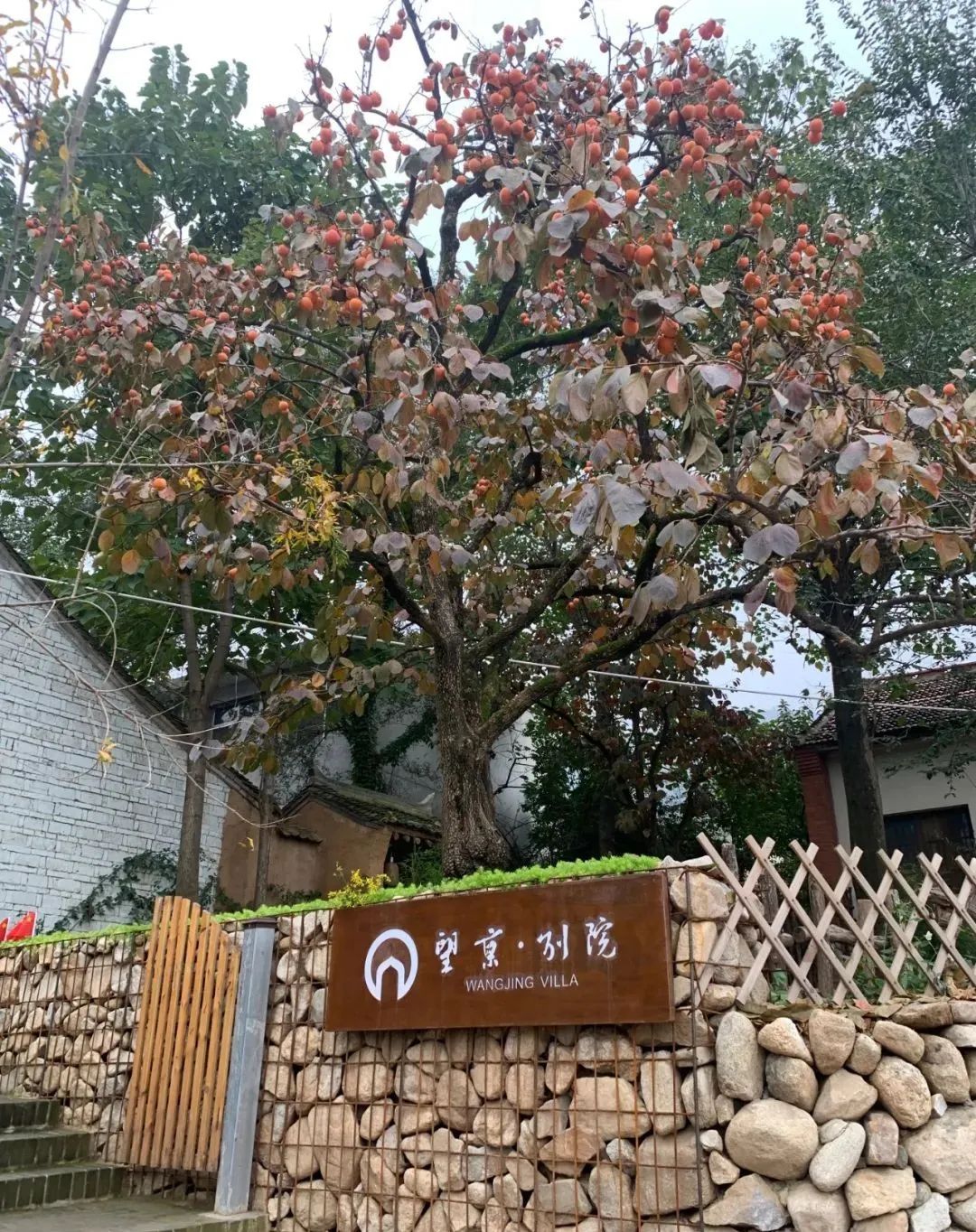 长安终南山,20 家商户一券多用优惠通享 | 喜马拉雅加入「长安·抱龙同心联盟」  民宿 庭院 田园 客房 美食 风格 民居 第 16 张