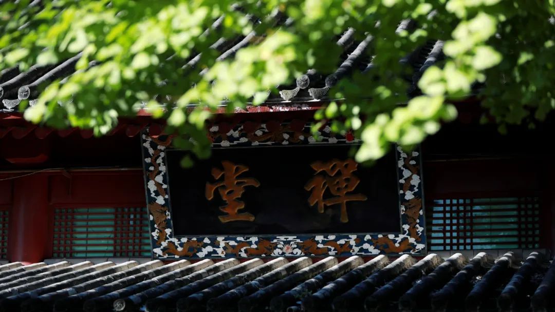 离西安不到一小时,休闲、礼佛、静修... 终南山下你想要的全都有! 寺院 银杏 天子峪 修行 西安 终南山 白塔寺 第 7 张 离西安不到一小时,休闲、礼佛、静修... 终南山下你想要的全都有! 寺院 银杏 天子峪 修行 西安 终南山 白塔寺 第 7 张