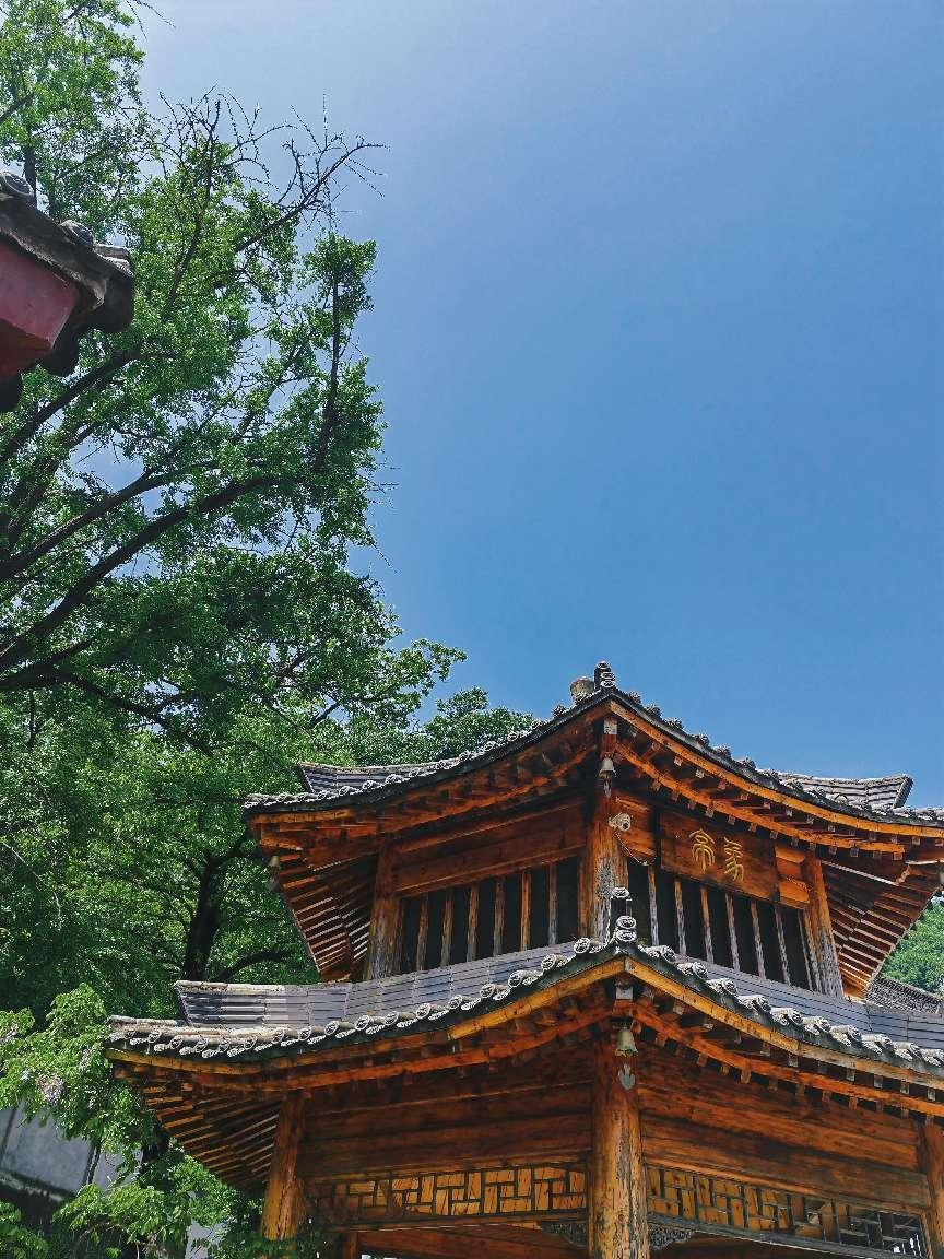 离西安不到一小时,休闲、礼佛、静修... 终南山下你想要的全都有! 寺院 银杏 天子峪 修行 西安 终南山 白塔寺 第 9 张 离西安不到一小时,休闲、礼佛、静修... 终南山下你想要的全都有! 寺院 银杏 天子峪 修行 西安 终南山 白塔寺 第 9 张