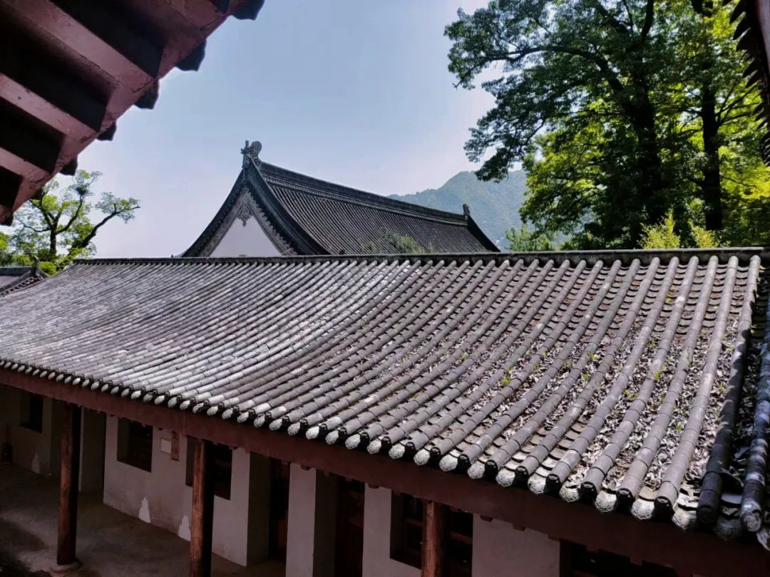 离西安不到一小时,休闲、礼佛、静修... 终南山下你想要的全都有! 寺院 银杏 天子峪 修行 西安 终南山 白塔寺 第 8 张 离西安不到一小时,休闲、礼佛、静修... 终南山下你想要的全都有! 寺院 银杏 天子峪 修行 西安 终南山 白塔寺 第 8 张